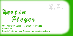 martin pleyer business card